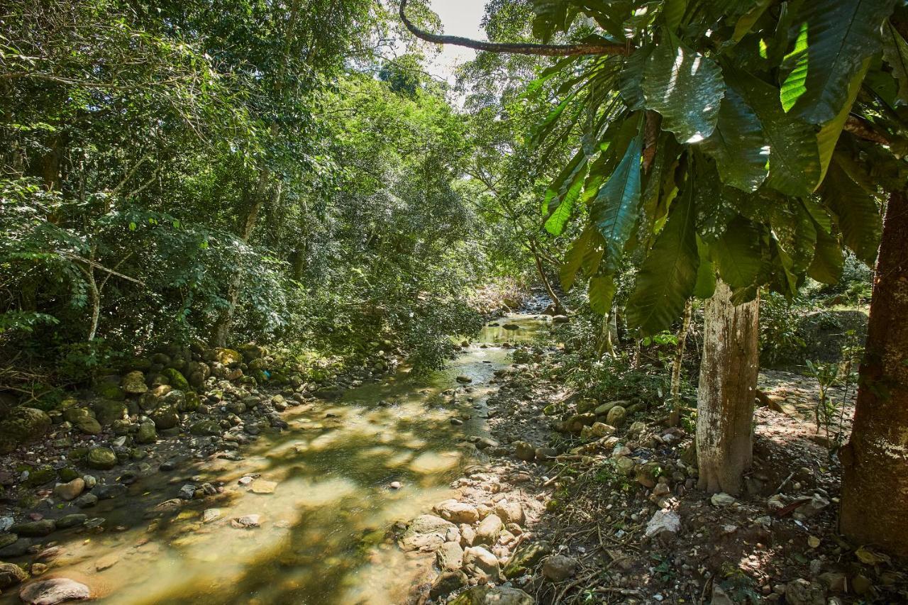 טראפוטו Villa Lu Amazon Ecolodge מראה חיצוני תמונה