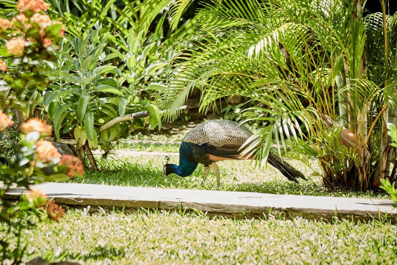 טראפוטו Villa Lu Amazon Ecolodge מראה חיצוני תמונה