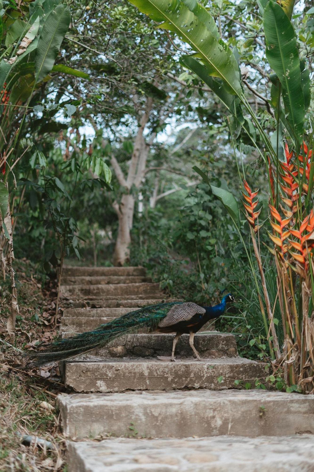 טראפוטו Villa Lu Amazon Ecolodge מראה חיצוני תמונה